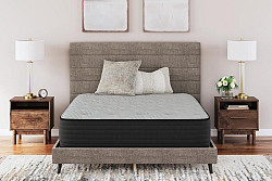 Sierra Sleep Palisades Plush Queen ...